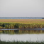 Avery Analysis Heart Marks 160 Years Of Black Lowcountry