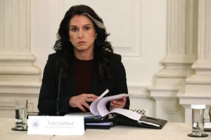 Tulsi Gabbard Seen In Georgia As FBI Raids Election Offices Over Trump’s False, ‘Stolen’ 2020 Claims, Raising Questions