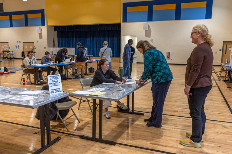 Primaries Show Voters Have An Appetite For Democracy 