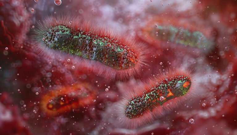 ‘You Have Died Of Dysentery’: What To Know About The Growing Shigella Health Concern