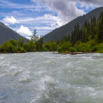 Earth Is For All Of Us. Let’s Support Actions That Prove It