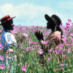 ‘The Color Purple’ Cast: What Everyone’s Up To 40 Years Later