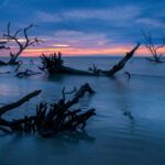 Hilton Head’s Gullah Geechee Community Built A Legacy, Now They’re Fighting To Be Heard