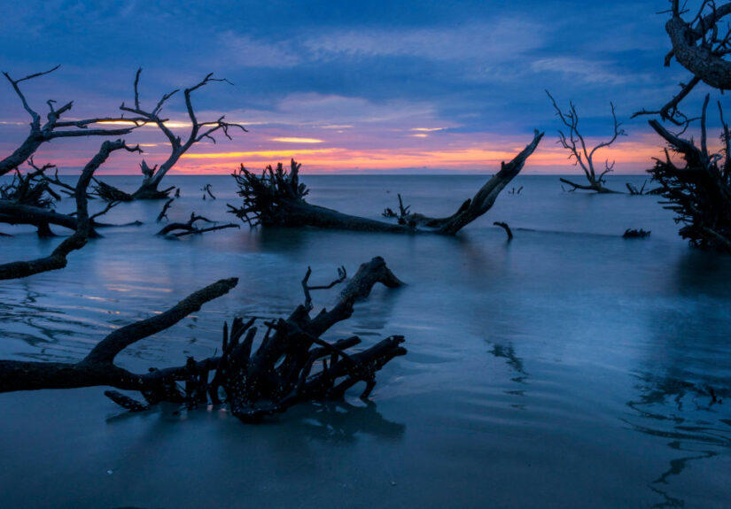 Hilton Head’s Gullah Geechee Community Built A Legacy, Now They’re Fighting To Be Heard