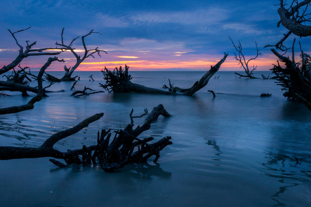 Hilton Head’s Gullah Geechee Community Built A Legacy, Now They’re Fighting To Be Heard