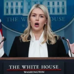 ‘Did Anyone Read This Out Loud?’: Karoline Leavitt’s Attempt to Hype Trump’s Newest Project Backfires Into ‘Mental Health’ Concerns