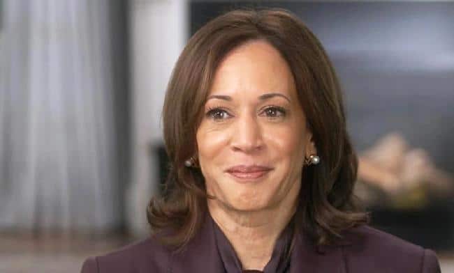 Kamala Harris Leads 2028 Democratic Primary Survey