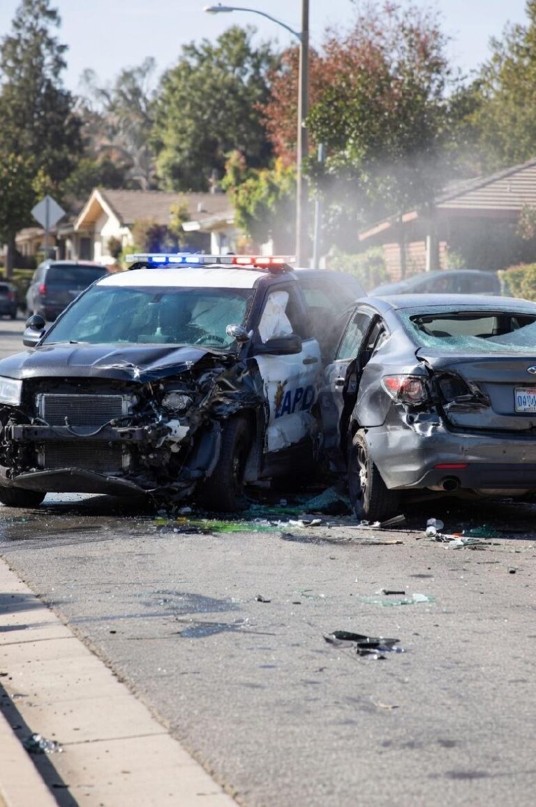 Earl Ofari Hutchinson/LAPD Car Chases: a Clear and Present Danger to Blacks and Hispanics
