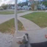 Caught in the Act: Little Girl’s Backyard Shenanigans Spark Heated Internet Debate