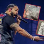 Drake Fans Sell Ice Chunks, Signs From Rapper’s Iceman Structure