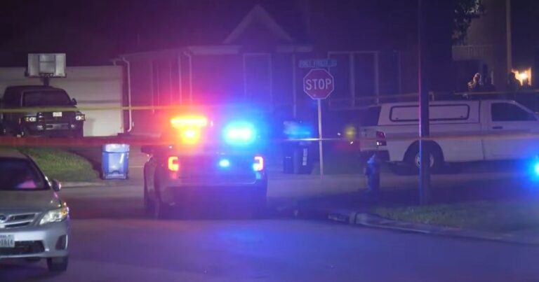 Heartbreaking Loss: The Tragic Murder-Suicide of Barbara Deer and Its Impact on the Chicago Community