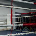 Muhammad Ali’s Grandson And Oscar De La Hoya Confront US Senate About American Boxing Revival Act