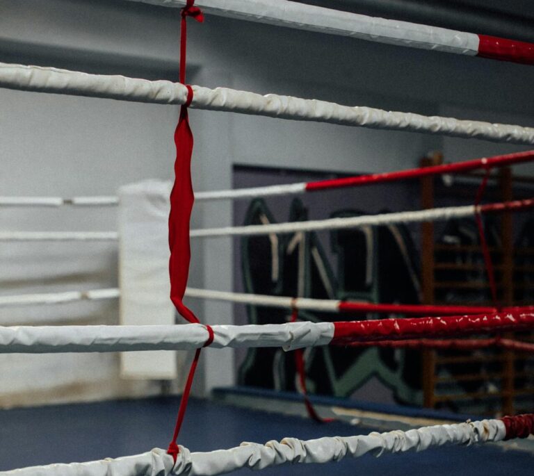 Muhammad Ali’s Grandson And Oscar De La Hoya Confront US Senate About American Boxing Revival Act