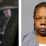 ‘Shut Your…. Mouth!’: Florida Cop Yanks Black Woman Out of Car and Knees Her in the Face Over Partially Open Window During Minor Traffic Stop