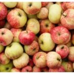 Apples and Blood Sugar: What You Need to Know Before Your Next Bite