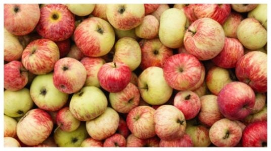 Apples and Blood Sugar: What You Need to Know Before Your Next Bite