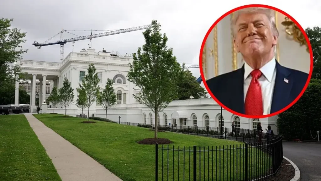‘Complete Travesty’: Trump’s UFC Spectacle Explodes Into Scandal After Critics Notice Who’s Really Getting the Best Seats in America