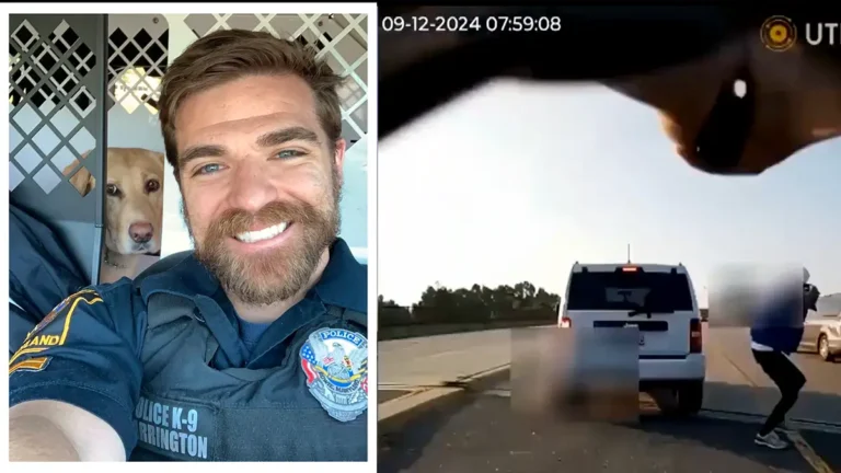 ‘I Don’t Have a Gun!’: Maryland Cop Opens Fire on Unarmed Dad Holding a Phone on the Side of a Highway, Then Realizes His ‘Huge Mistake’ and Starts Repeating Two Words Over and Over