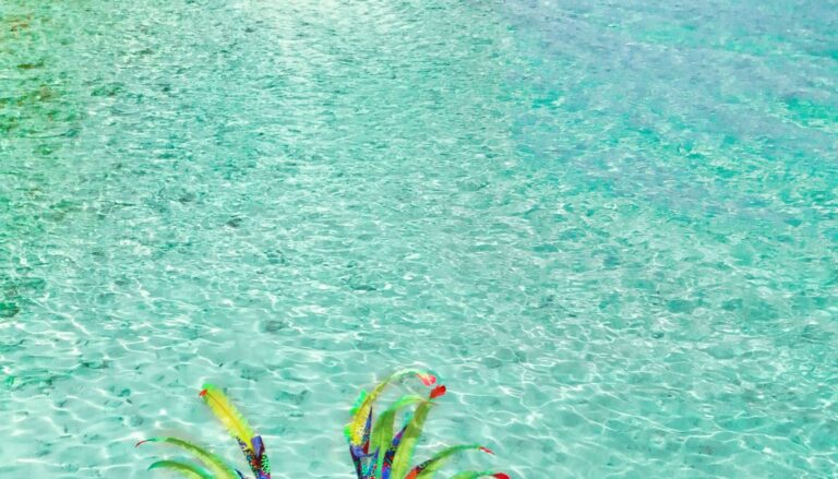 Barbados Crop Over Changed Me — How A Carnival Costume Helped Me Embrace My Body, My Freedom, And My Roots [Op-Ed]
