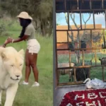 ‘Completely Unrecognizable’: Fiancé of Black Influencer Ashlee Jenae Who Died on Luxury Vacation Says She Started Acting Erratically After Hitting Her Head