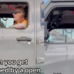 ‘Hang You from This F—king Light’: White Georgia Man’s Lynch Threat Against Black Woman Backfires When She Catches His Face and License Plate on Video