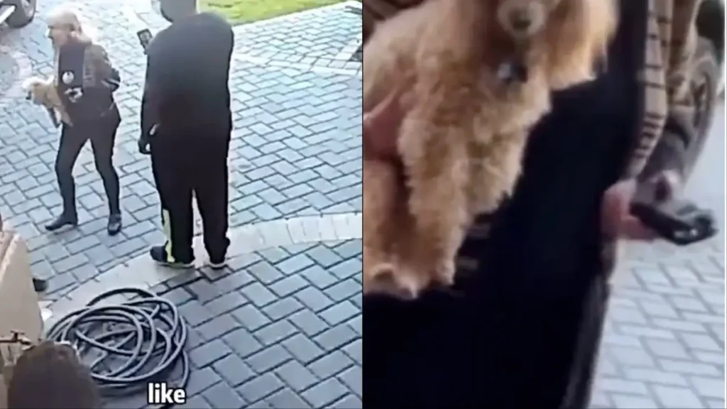White Woman with Stun Gun Demands That African-American Family Submit to Her and ‘Stop Acting Black’