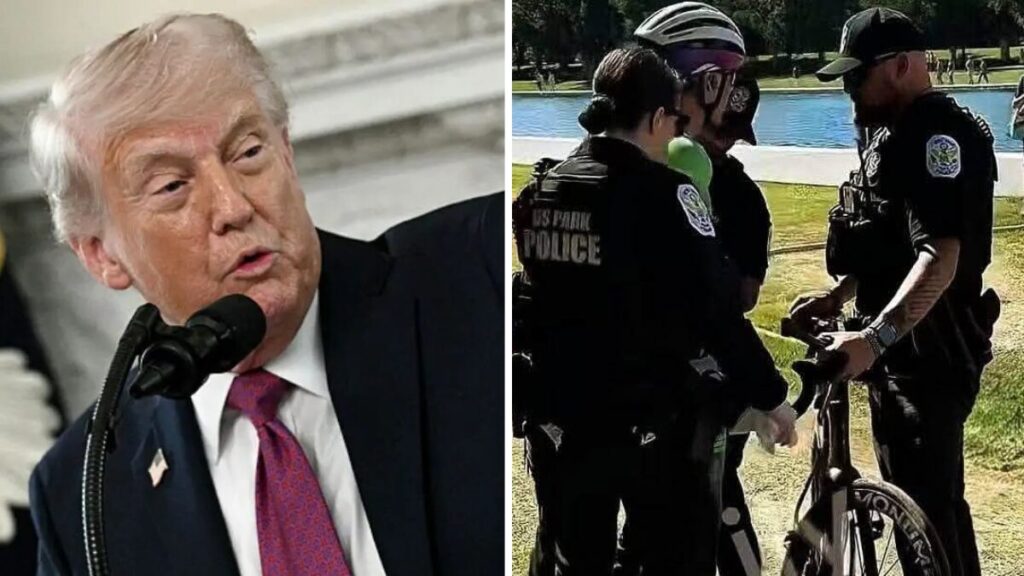‘He Did This’: Trump Blames Sabotage After Reflecting Pool Chaos Lands a Former Olympian In Handcuffs — But Critics Say He’s Missing One Thing ‘He Did This’: Trump Blames Sabotage After Reflecting Pool Chaos Lands a Former Olympian In Handcuffs — But Critics Say He’s Missing One Thing