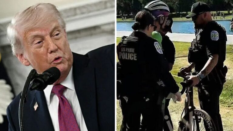 ‘He Did This’: Trump Blames Sabotage After Reflecting Pool Chaos Lands a Former Olympian In Handcuffs — But Critics Say He’s Missing One Thing