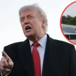‘Disaster’: Trump’s Reflecting Pool Nightmare Takes Another Turn, as the Algae Controversy Leads to an Even More Embarrassing Discovery