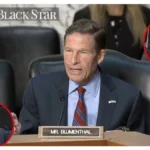 ‘You Disqualify Yourself’: Blumenthal Asked Three Trump Judicial Nominees the Same Question — By the Time They Realized Where He Was Going, It Was Too Late