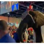 ‘Why the Hell…?’: Republicans Tried to ‘Demolish’ Democrats with an Elephant — Seconds Later the Whole Convention Stunt Blew Up in Their Faces