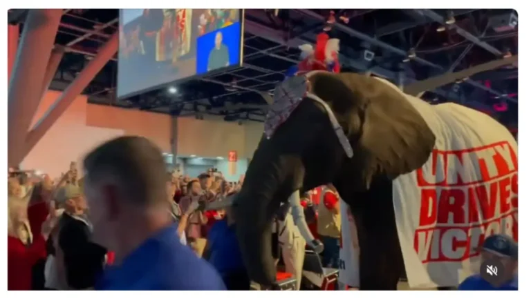 ‘Why the Hell…?’: Republicans Tried to ‘Demolish’ Democrats with an Elephant — Seconds Later the Whole Convention Stunt Blew Up in Their Faces ‘Why the Hell…?’: Republicans Tried to ‘Demolish’ Democrats with an Elephant — Seconds Later the Whole Convention Stunt Blew Up in Their Faces