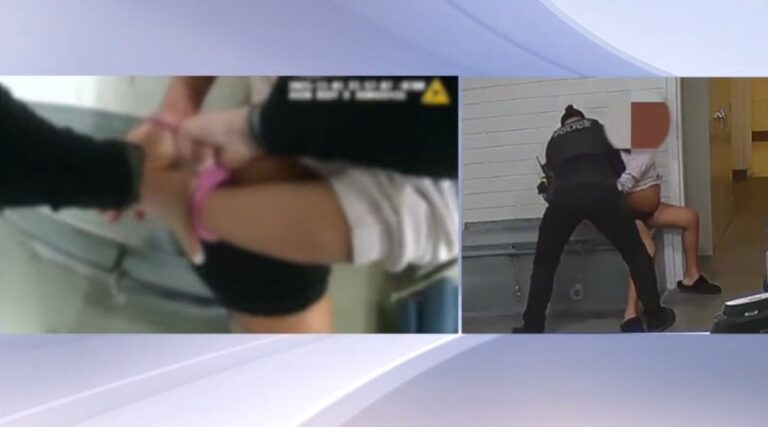 Cop Caught On Camera Beating 9-Month Pregnant Black Woman — ‘I Revert To My Training’