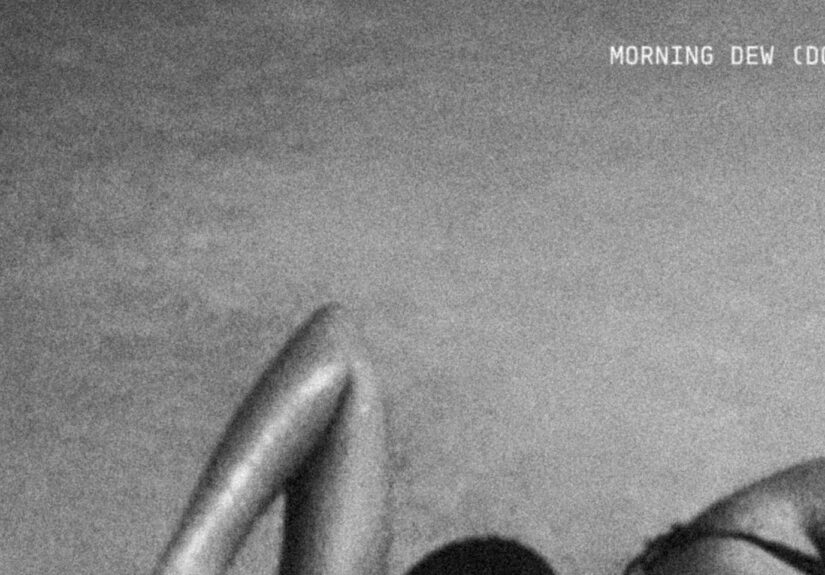 Beyoncé’s ‘Morning Dew’ and the Sweet Nostalgia of 20 Years of B’Day Beyoncé’s ‘Morning Dew’ and the Sweet Nostalgia of 20 Years of B’Day