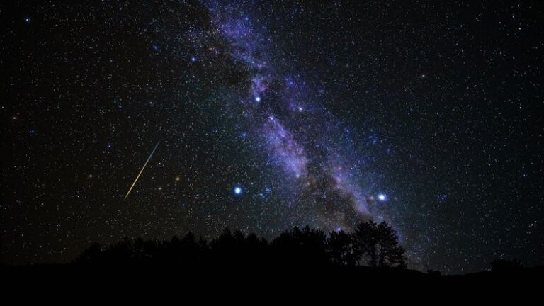 Cosmic Inspiration: How Meteor Showers Illuminate Our Culture