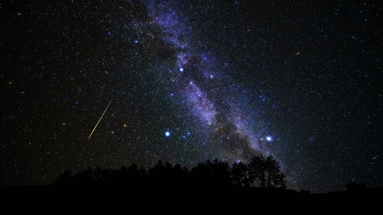 Cosmic Inspiration: How Meteor Showers Illuminate Our Culture