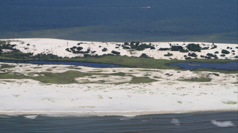 Tragedy on Horn Island: The Loss of Nolan Xavier Wells and Its Ripple Effect on Our Community
