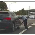 The Dashcam Chronicles: When Vengeance Meets the Lens of Justice
