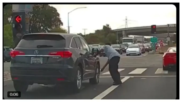 The Dashcam Chronicles: When Vengeance Meets the Lens of Justice